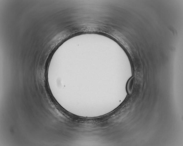 X0000111370485200908071217
