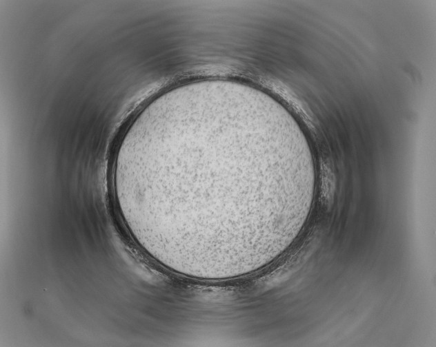 X0000111370486200908071217