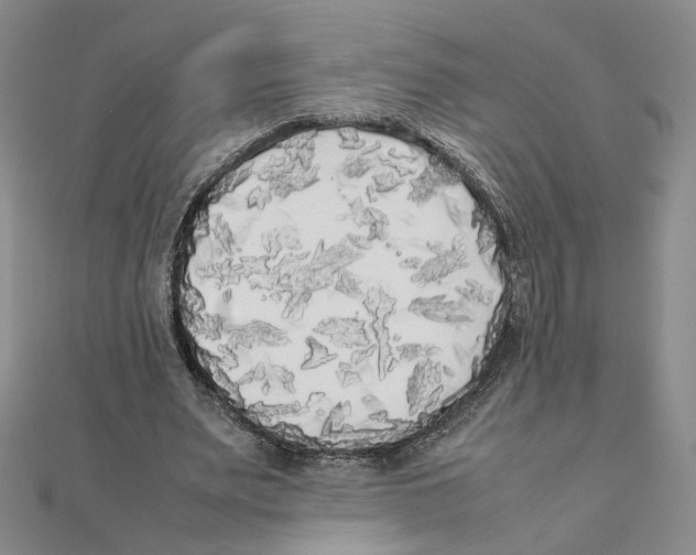 X0000111370487200908071217