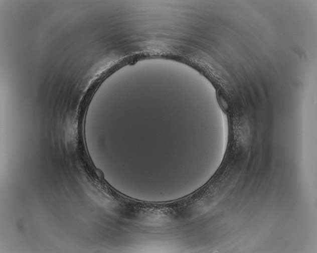 X0000111370488200908071217
