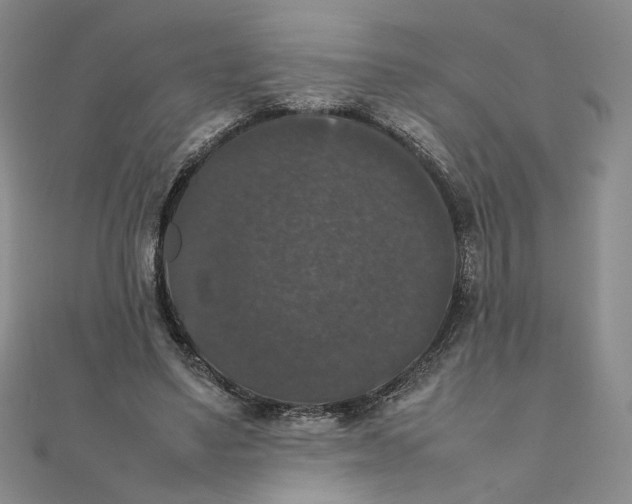X0000111370491200908071217