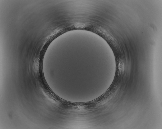 X0000111370492200908071217