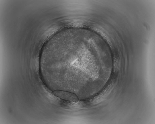 X0000111370493200908071217