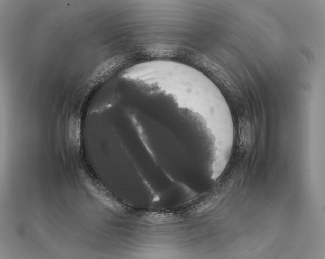 X0000111370494200908071217