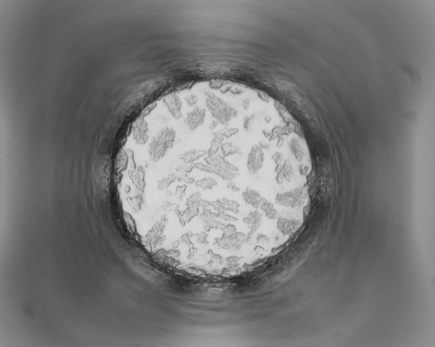 X0000111370495200908071217