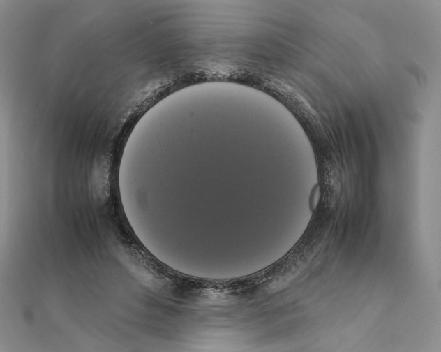 X0000111370496200908071217