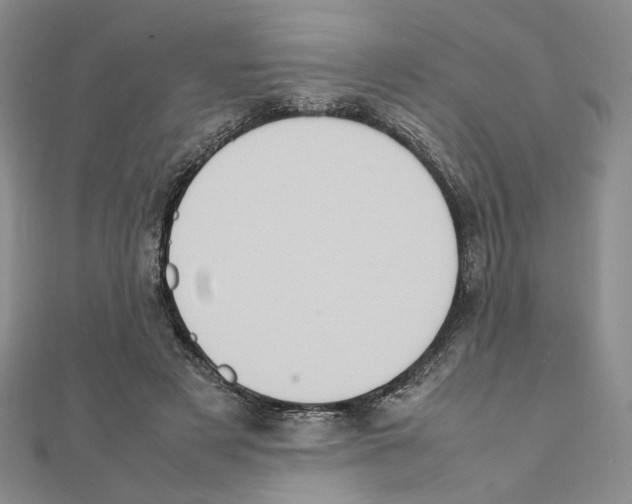 X0000111370497200908071217