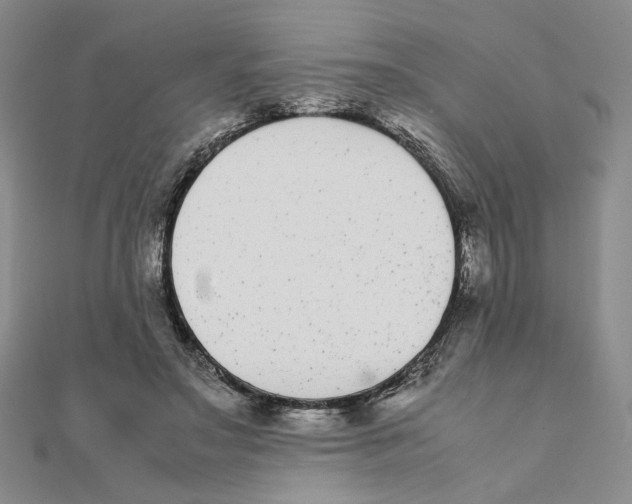 X0000111370499200908071217