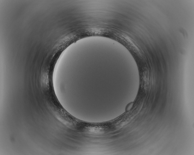 X0000111370500200908071217