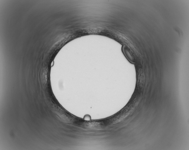 X0000111370501200908071217