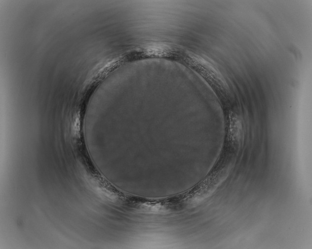 X0000111370502200908071217