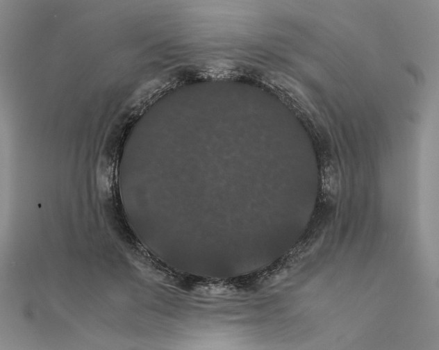 X0000111370503200908071217