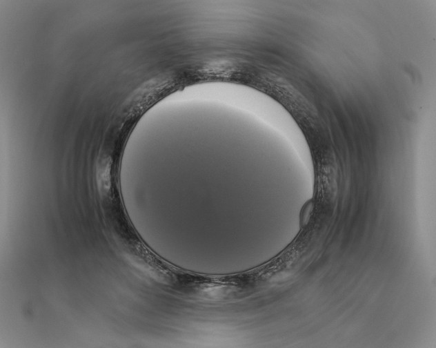 X0000111370504200908071217
