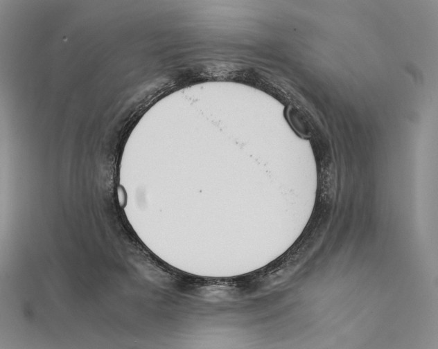 X0000111370505200908071217
