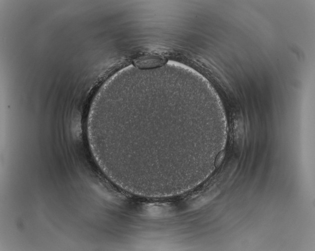 X0000111370508200908071217