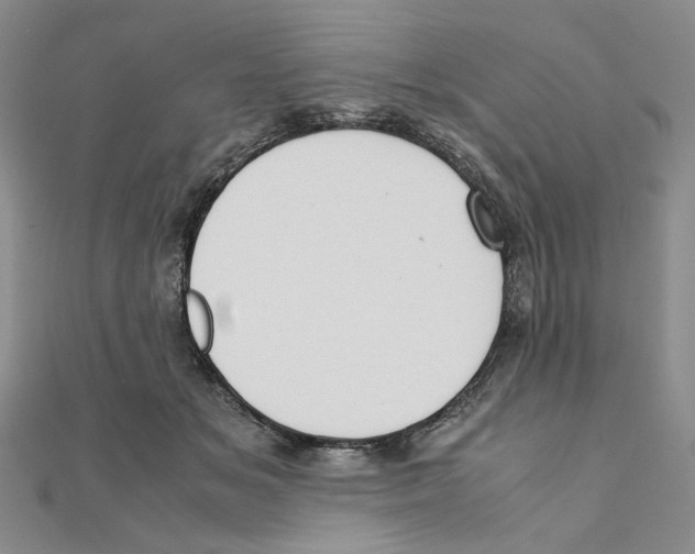 X0000111370509200908071217