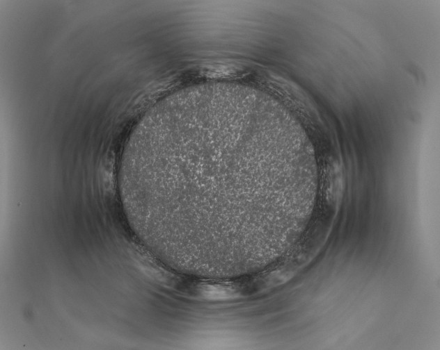 X0000111370510200908071217