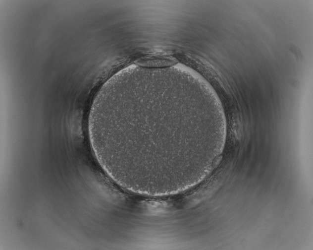 X0000111370512200908071217