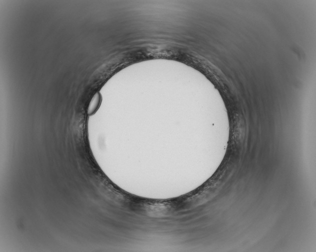 X0000111370513200908071217