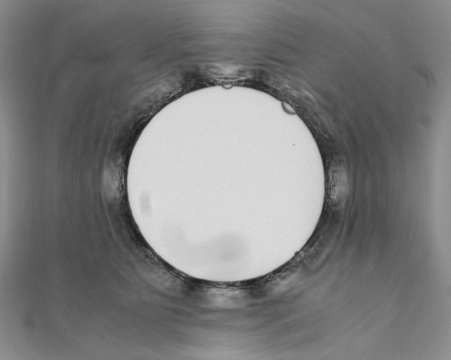 X0000111370515200908071217