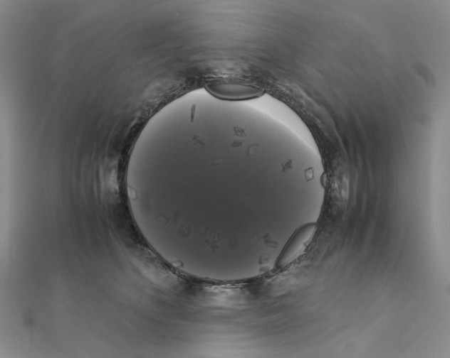 X0000111370516200908071217