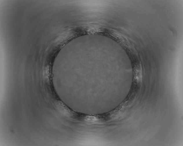 X0000111370519200908071217