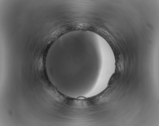 X0000111370520200908071217