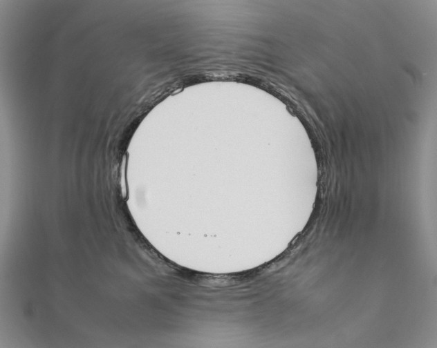 X0000111370521200908071217