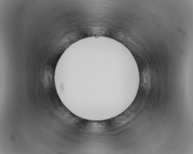 X0000111370522200908071217