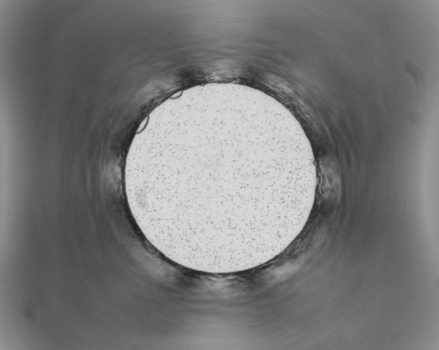 X0000111370523200908071217
