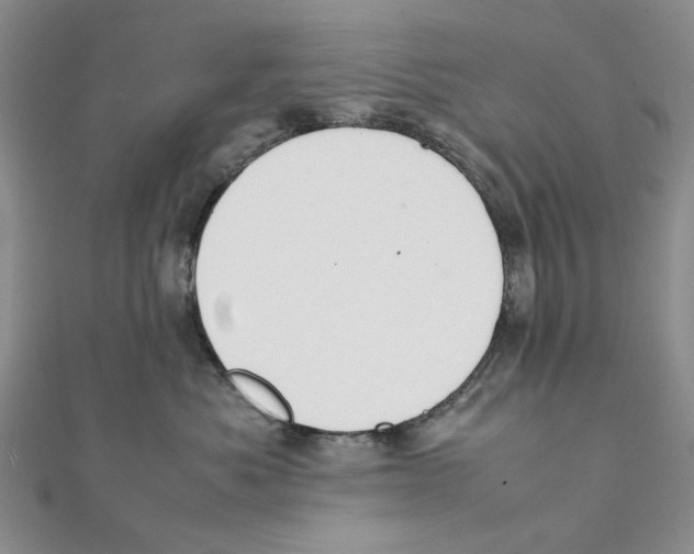 X0000111370525200908071216
