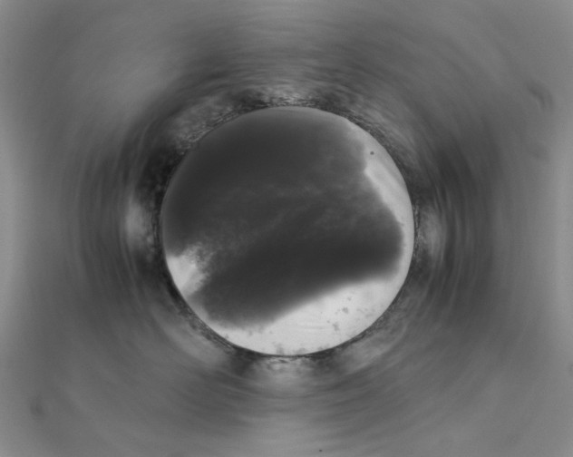 X0000111370526200908071216