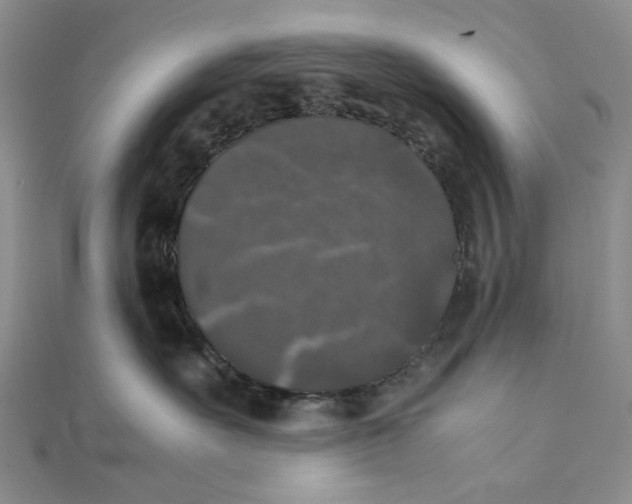 X0000111370527200908071216
