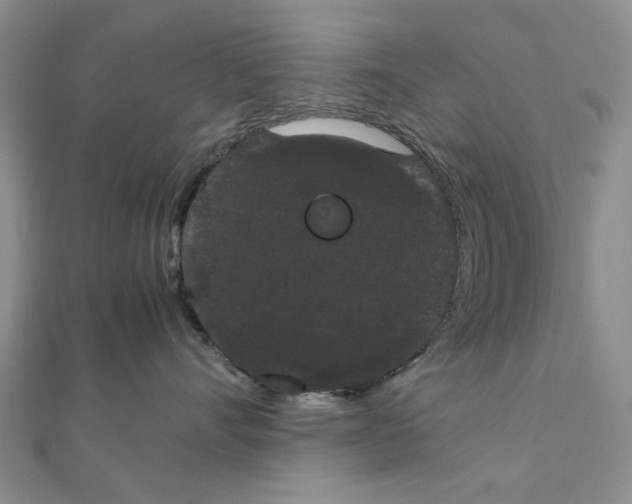 X0000111370528200908071216