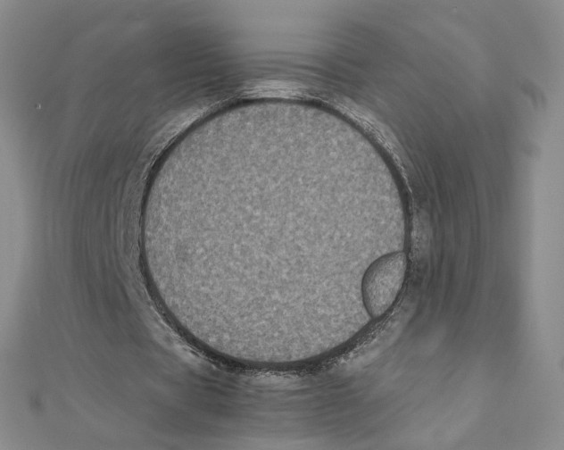 X0000111370529200908071216
