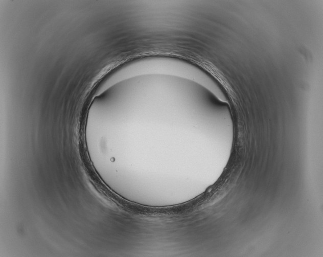 X0000111370530200908071216