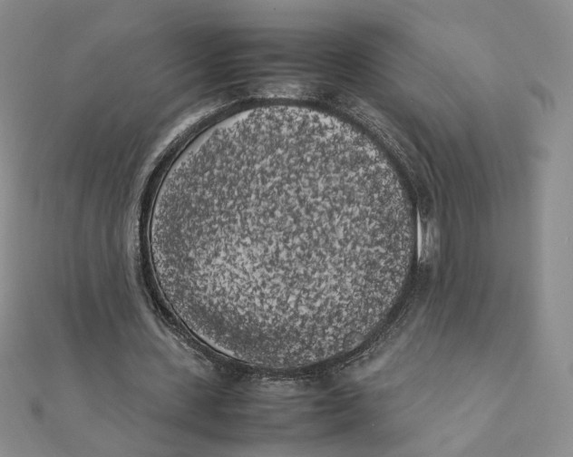 X0000111370531200908071216