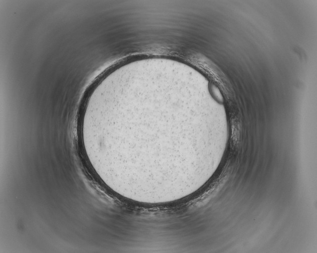 X0000111370532200908071216