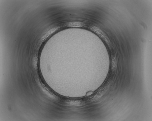 X0000111370533200908071216