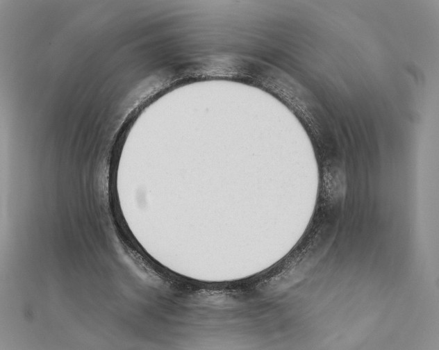 X0000111370534200908071216