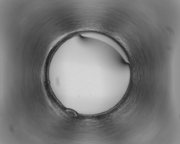 X0000111370536200908071216