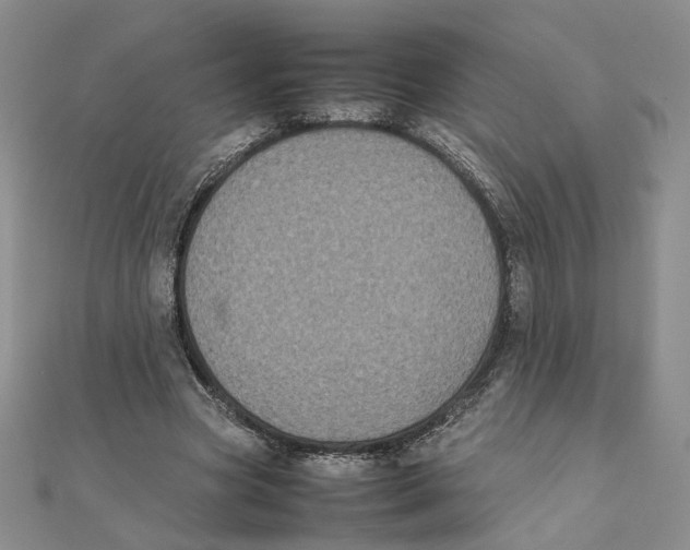 X0000111370537200908071216