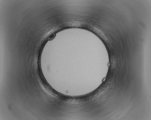 X0000111370538200908071216