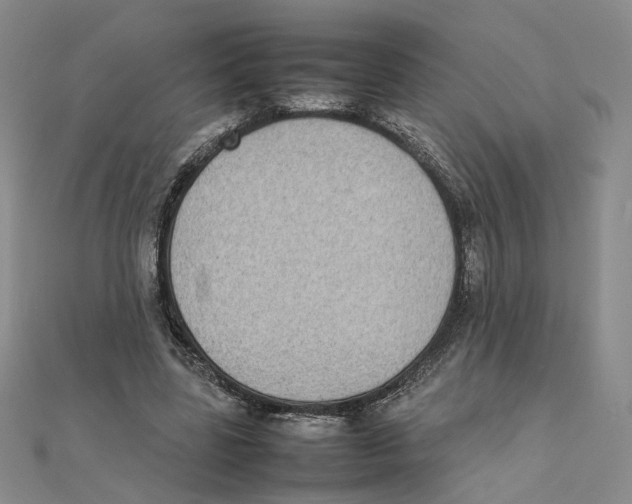X0000111370539200908071216
