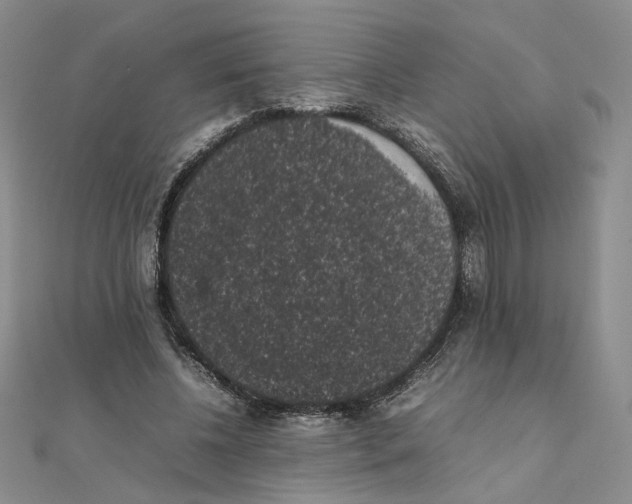 X0000111370540200908071216