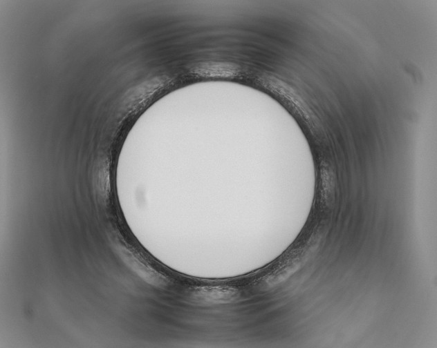 X0000111370541200908071216