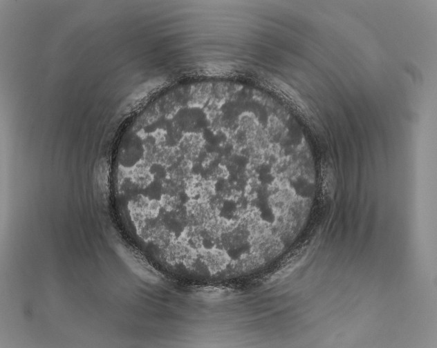 X0000111370542200908071216