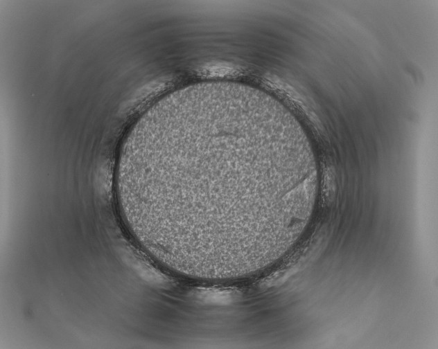 X0000111370545200908071216