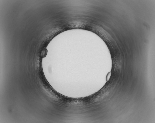 X0000111370546200908071216