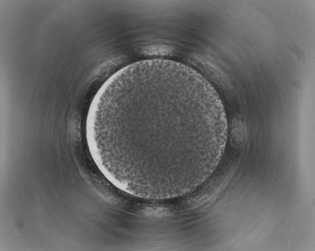 X0000111370547200908071216